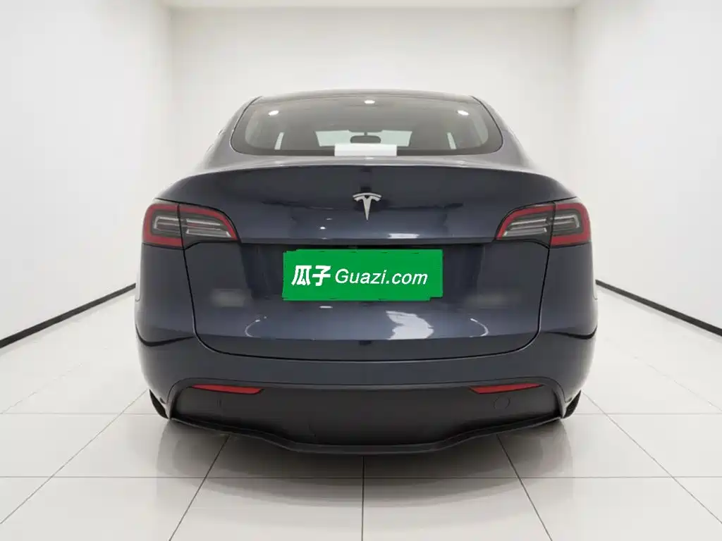 Tesla Model Y — миниатюра 3