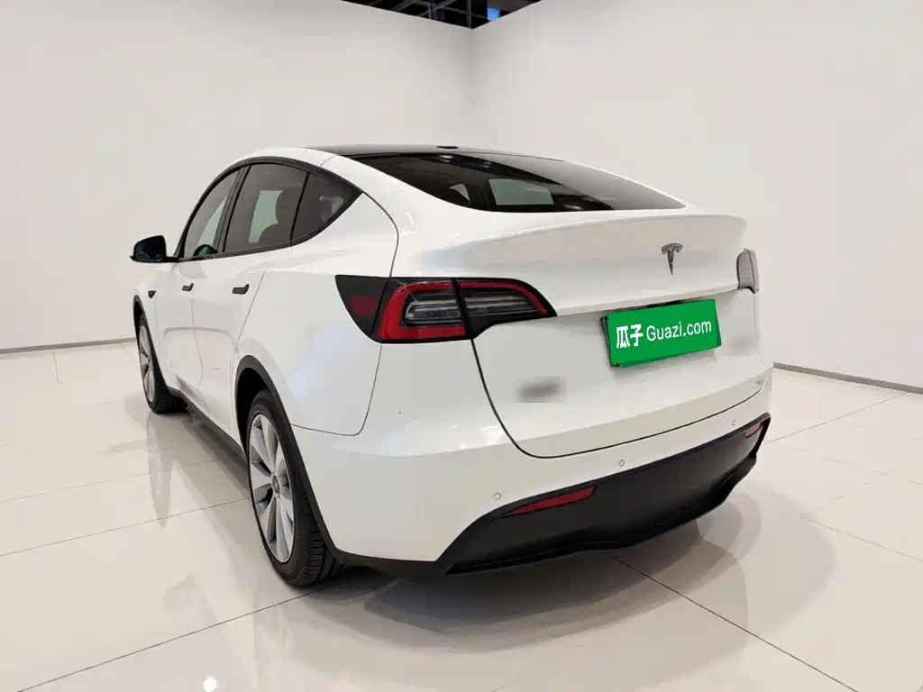 Tesla Model Y — миниатюра 4