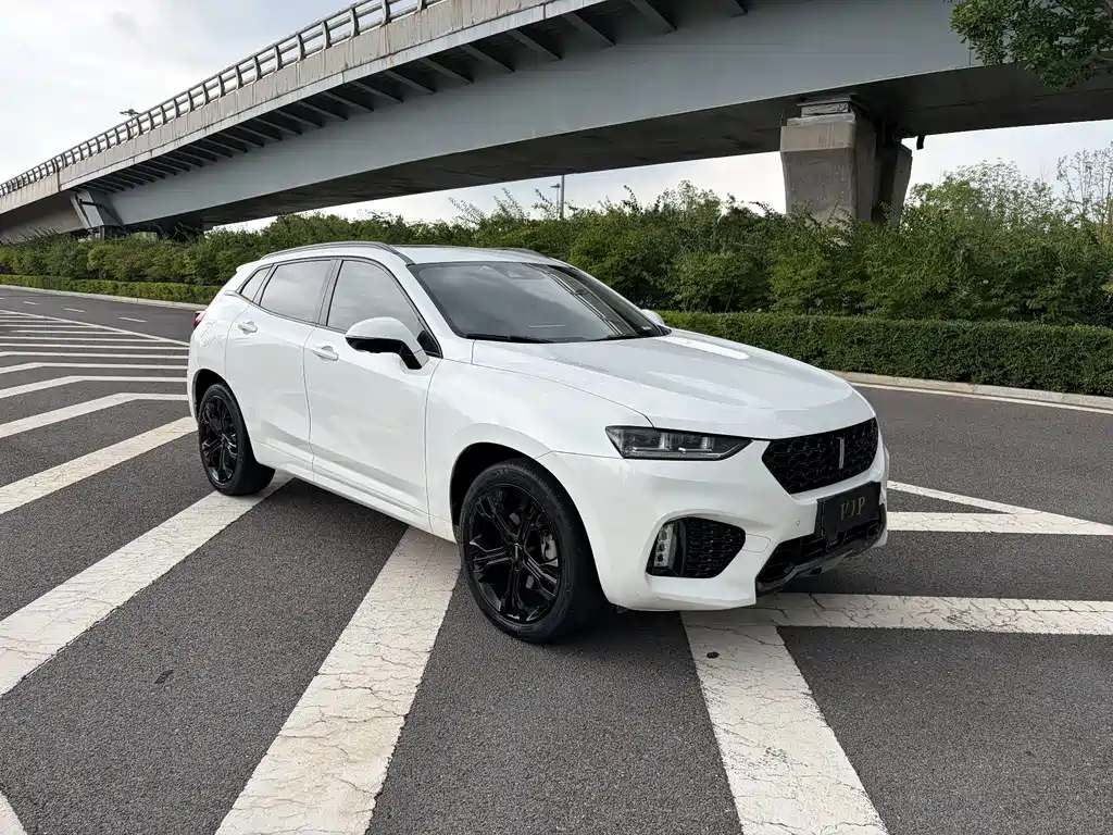 Wey Wey VV7 — миниатюра 3