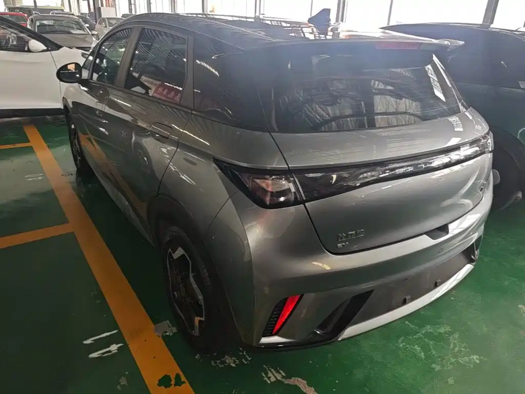 BYD Dolphin — миниатюра 5