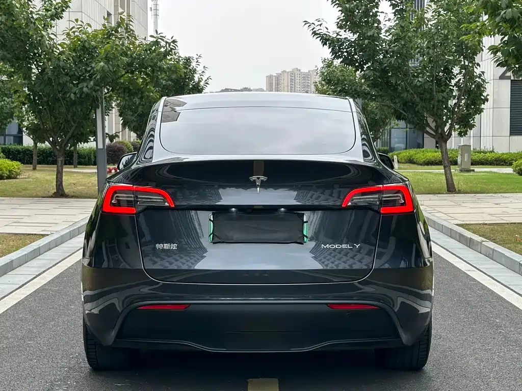 Tesla Model Y — миниатюра 29