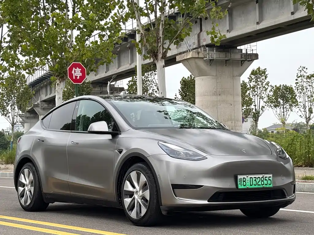 Tesla Model Y — миниатюра 3