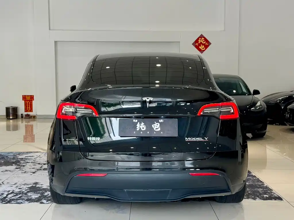 Tesla Model Y — миниатюра 14