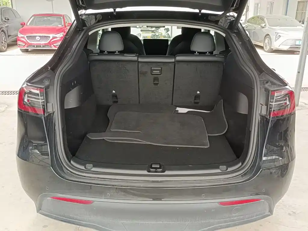 Tesla Model Y — миниатюра 19
