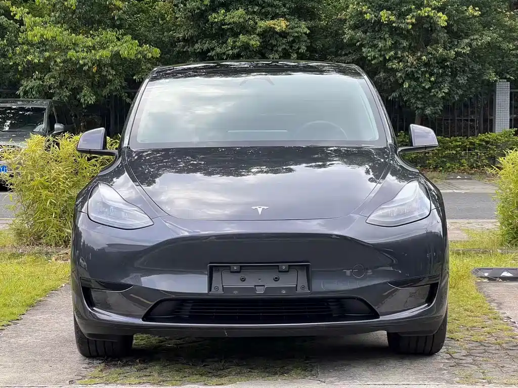 Tesla Model Y — миниатюра 2