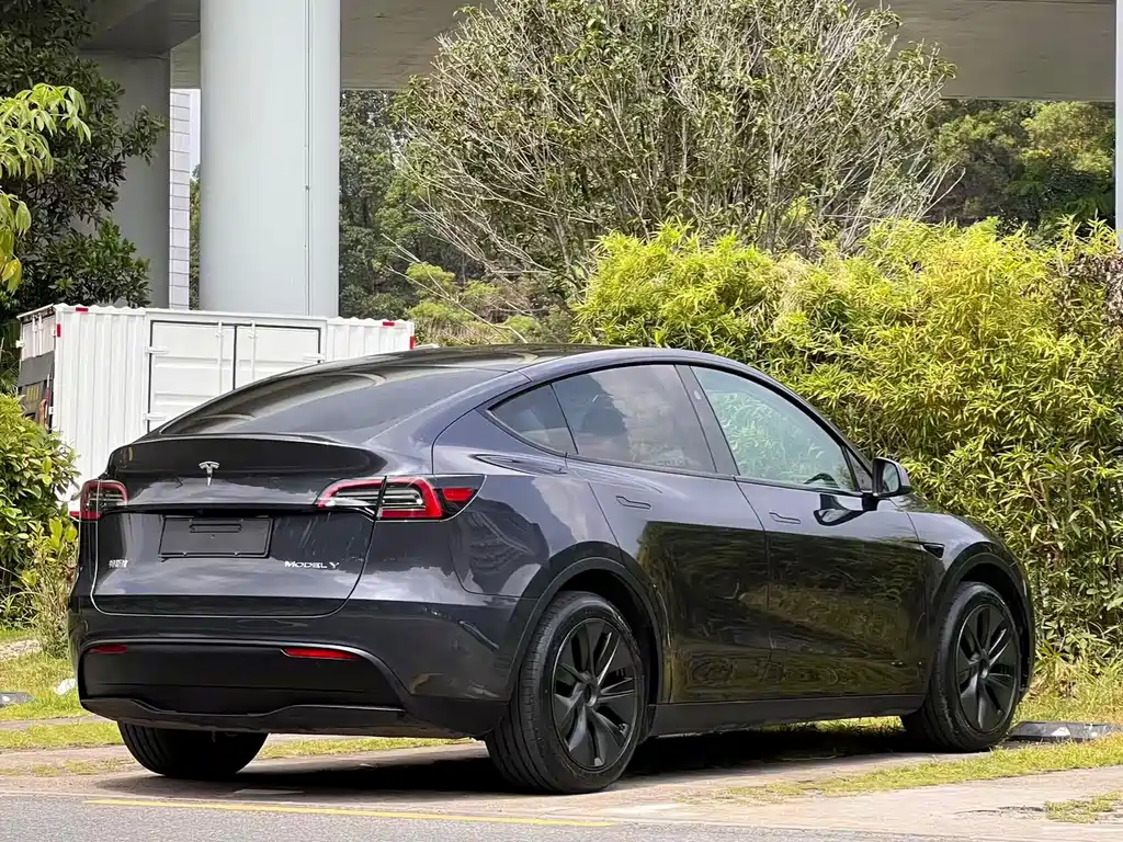 Tesla Model Y — миниатюра 7