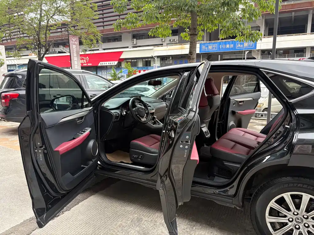 Lexus NX — миниатюра 17