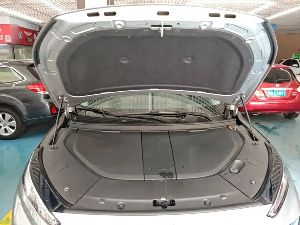 Buick E5 — миниатюра 20
