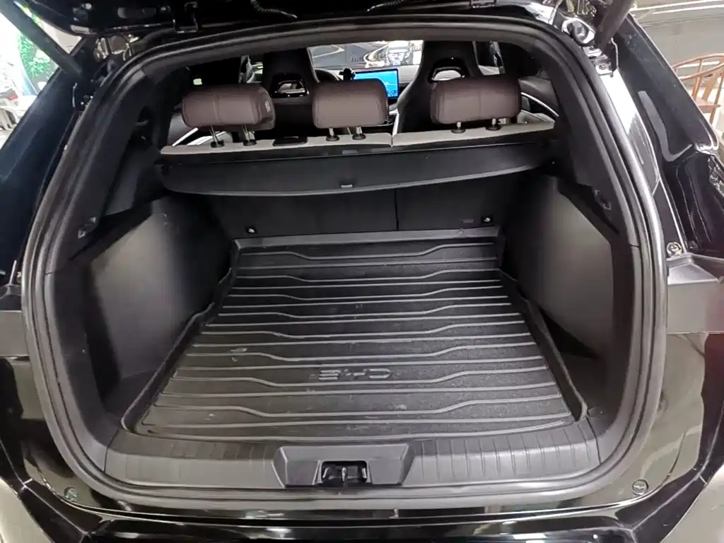 BYD PLUS New Energy — миниатюра 19