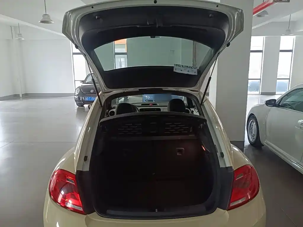 Volkswagen Beetle — миниатюра 19