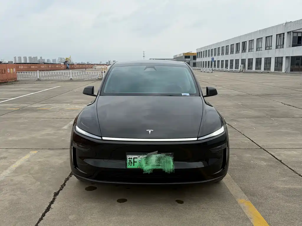 Tesla Model Y — миниатюра 2