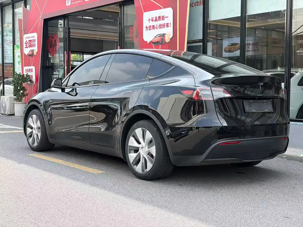 Tesla Model Y — миниатюра 3