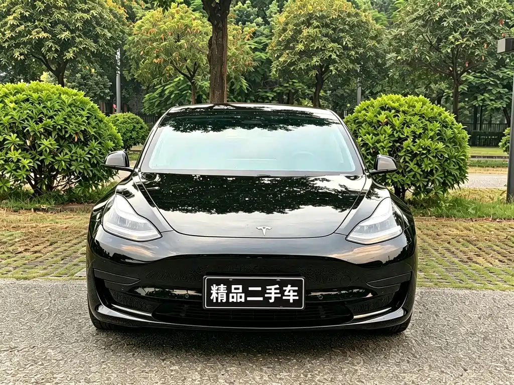 Tesla Model 3 — миниатюра 3