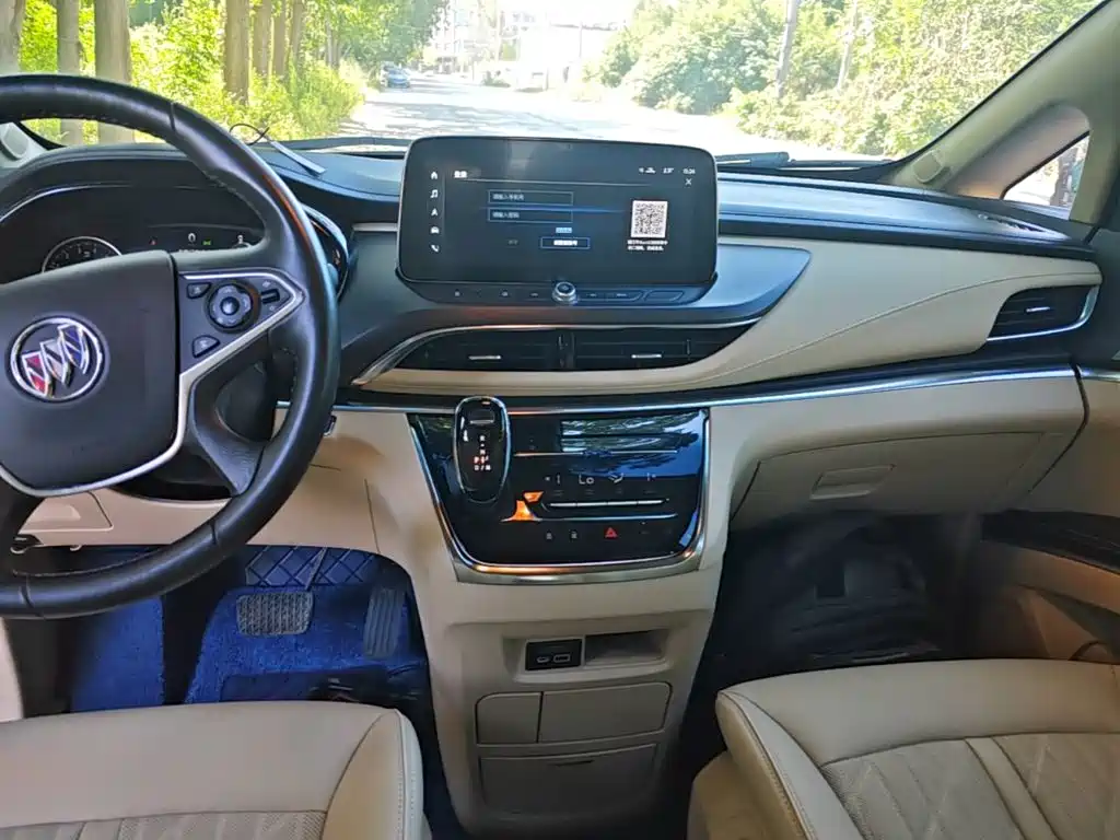 Buick GL8 — миниатюра 13
