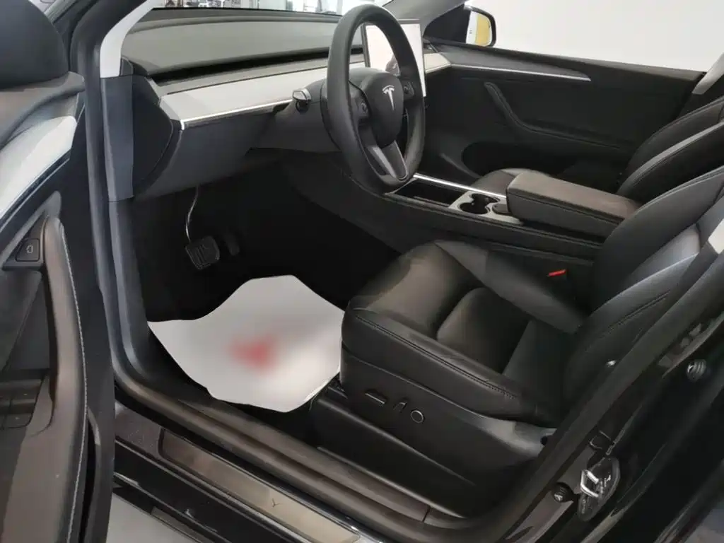 Tesla Model Y — миниатюра 16