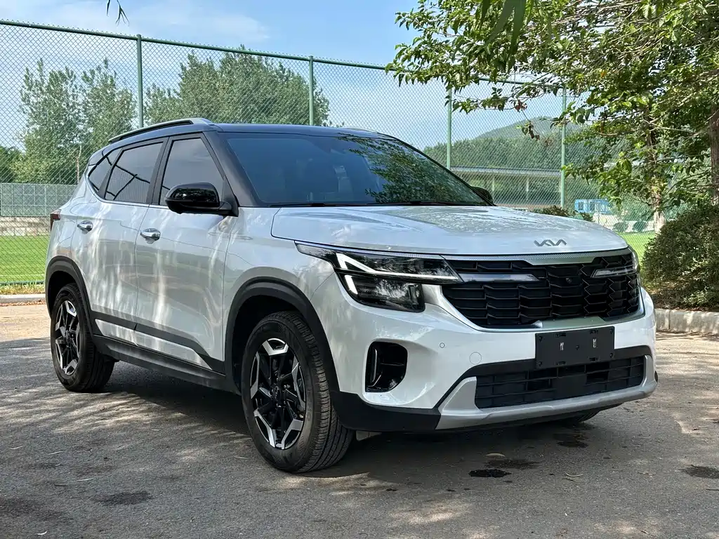 Kia Seltos — миниатюра 3