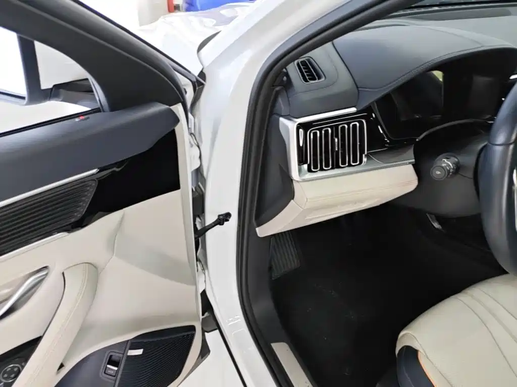 BYD PLUS New Energy — миниатюра 16