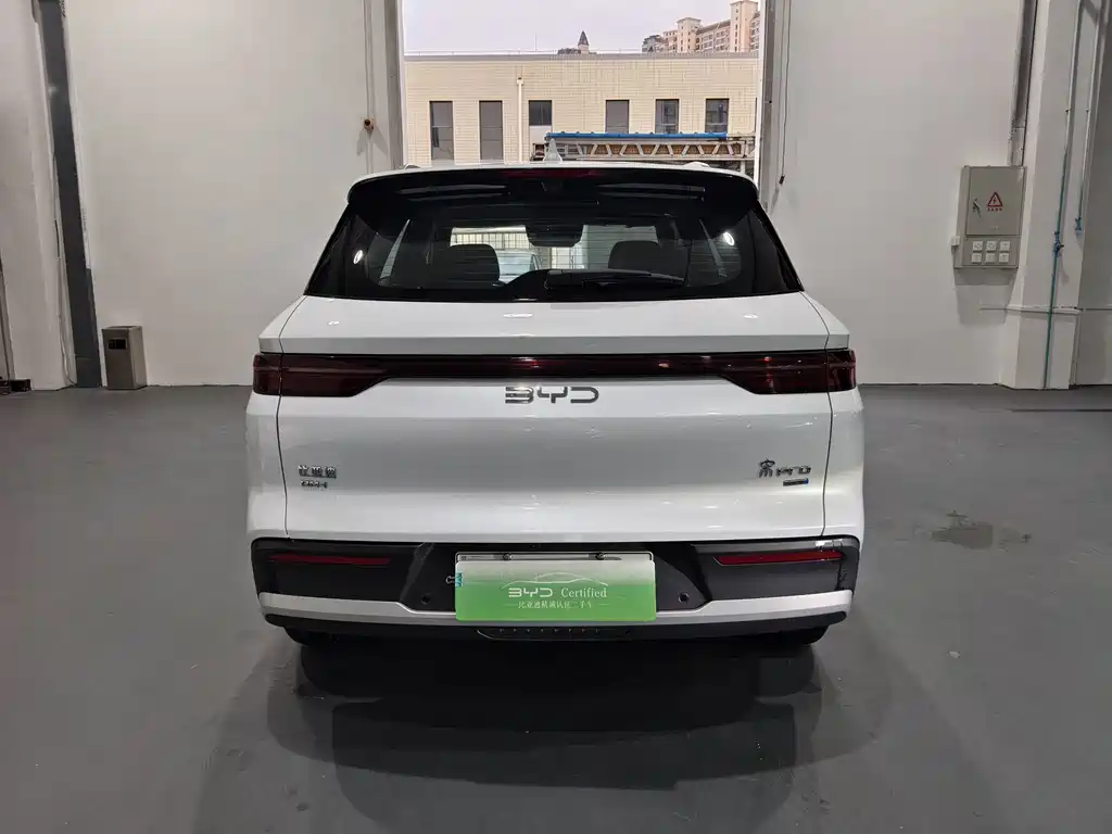 BYD Pro New Energy — миниатюра 4