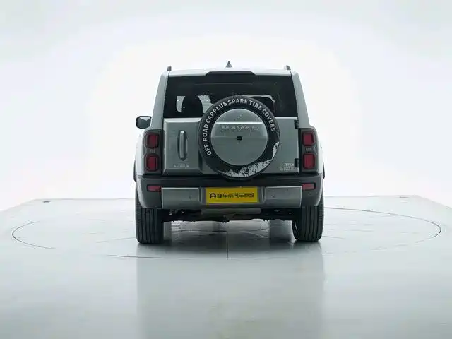 Haval Menglong New Energy — миниатюра 6