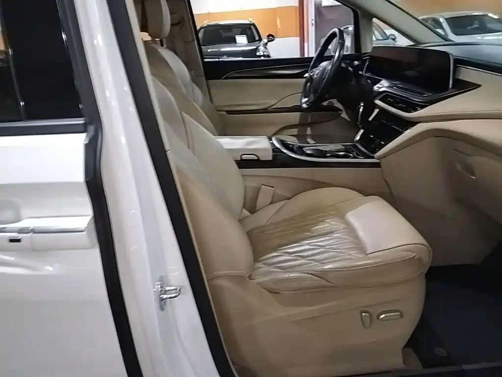 Buick GL8 — миниатюра 25