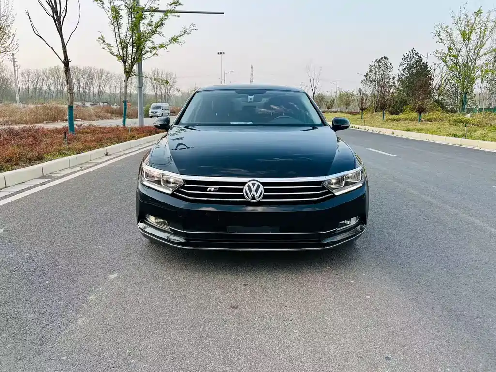 Volkswagen Magotan 2019 330TSI DSG Luxury VI