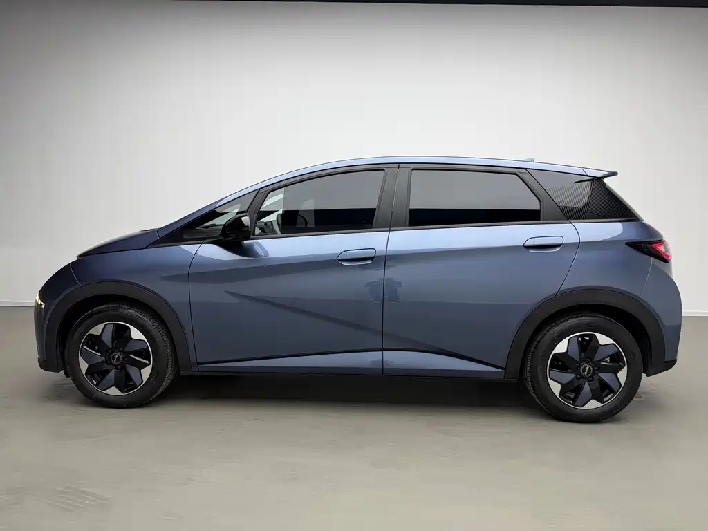 BYD Dolphin 2025 420km Freedom