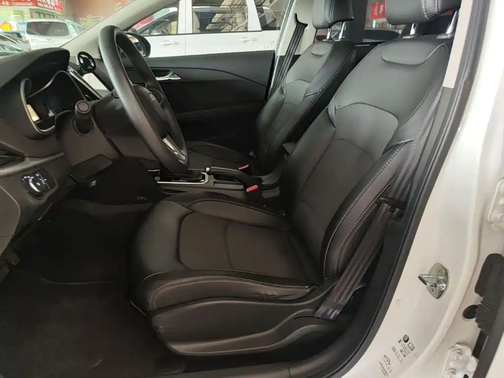 Chevrolet Cavalier — миниатюра 15