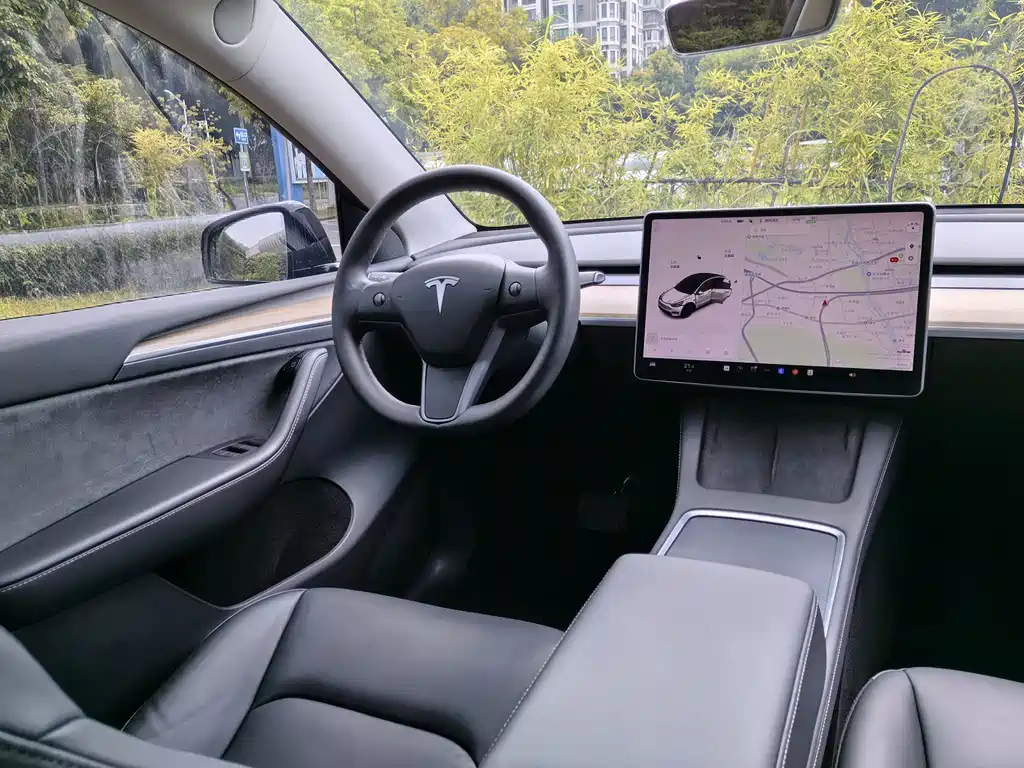 Tesla Model Y — миниатюра 13
