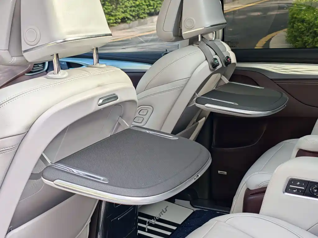 Buick GL8 2023 Avenir мест