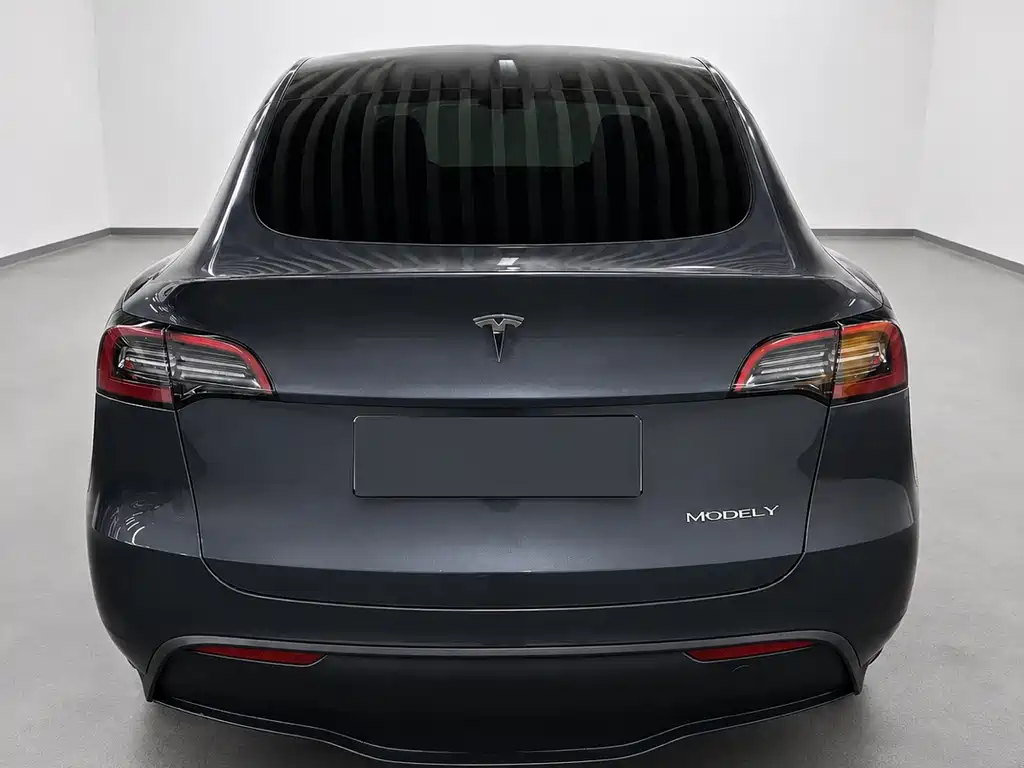 Tesla Model Y — миниатюра 5