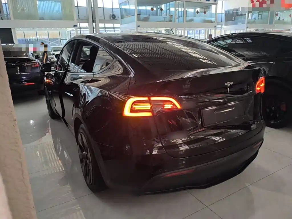 Tesla Model Y — миниатюра 5