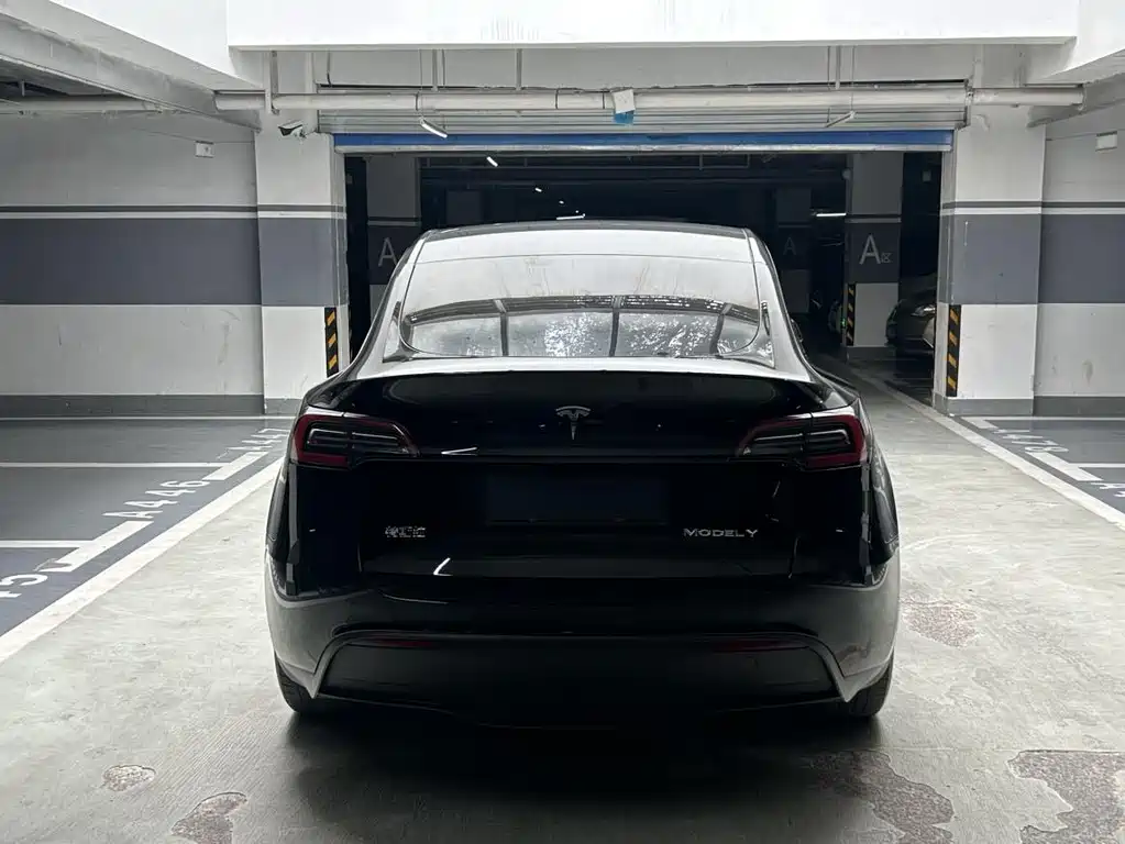 Tesla Model Y — миниатюра 8