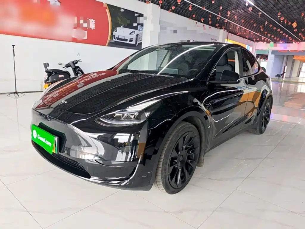 Tesla Model Y — миниатюра 2