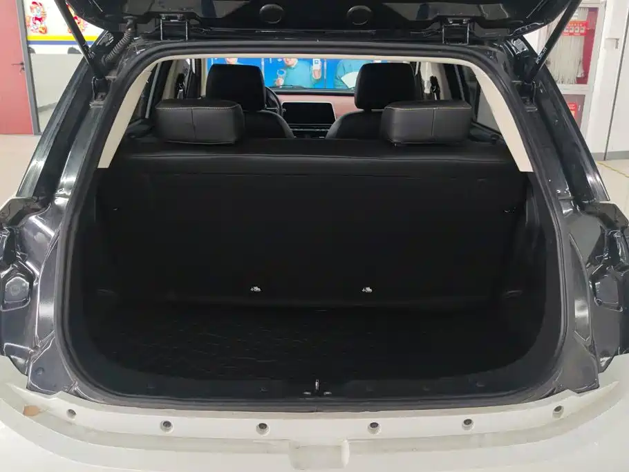 Dongfeng EV YOUNG Guang Xiaoxin — миниатюра 4