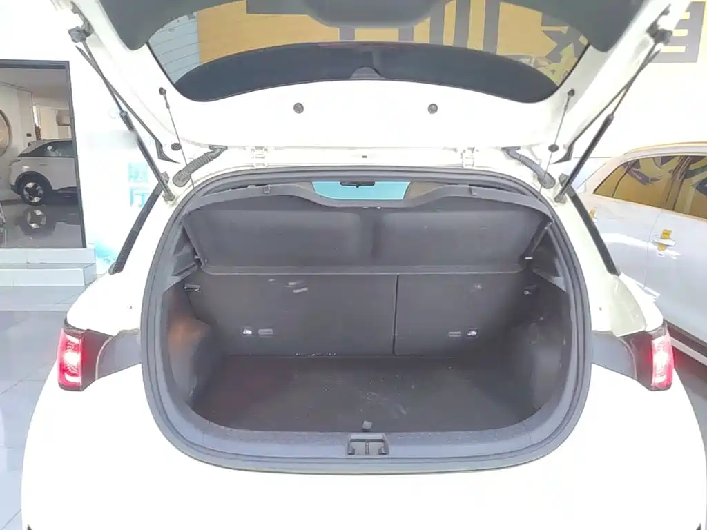 BYD Dolphin — миниатюра 19