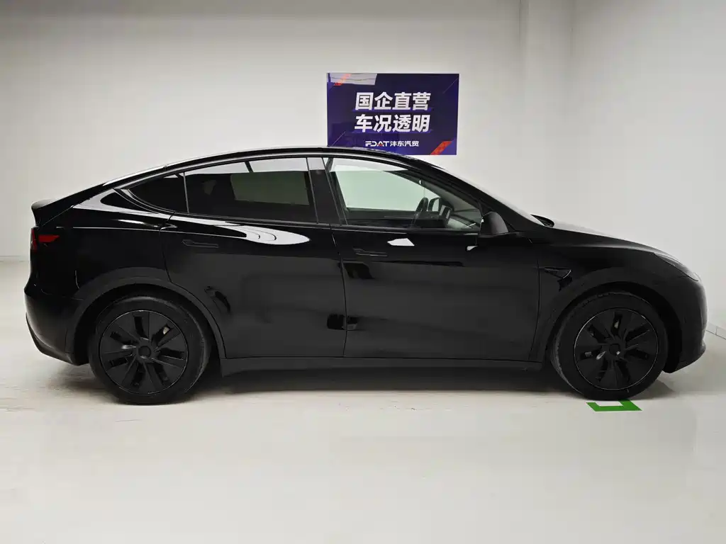 Tesla Model Y — миниатюра 7