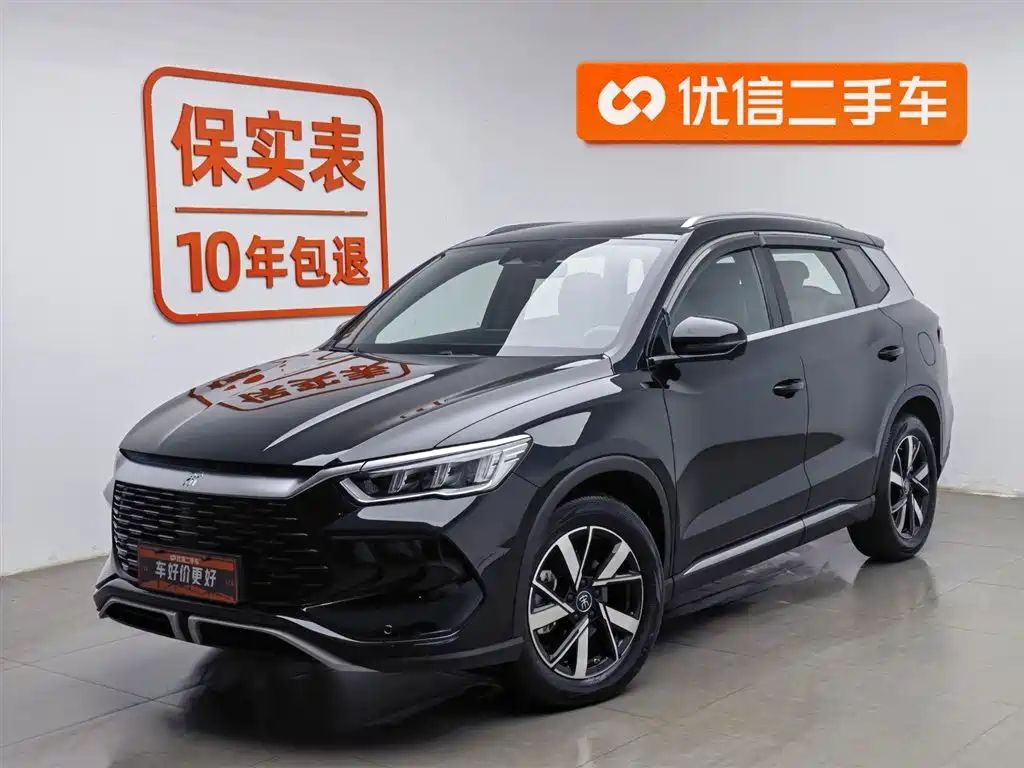 Byd Pro New Energy 2024