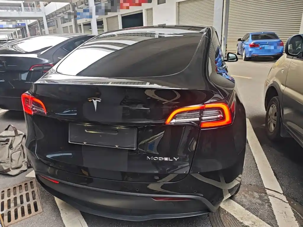 Tesla Model Y — миниатюра 6