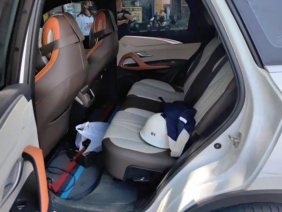 BYD Pro New Energy — миниатюра 8
