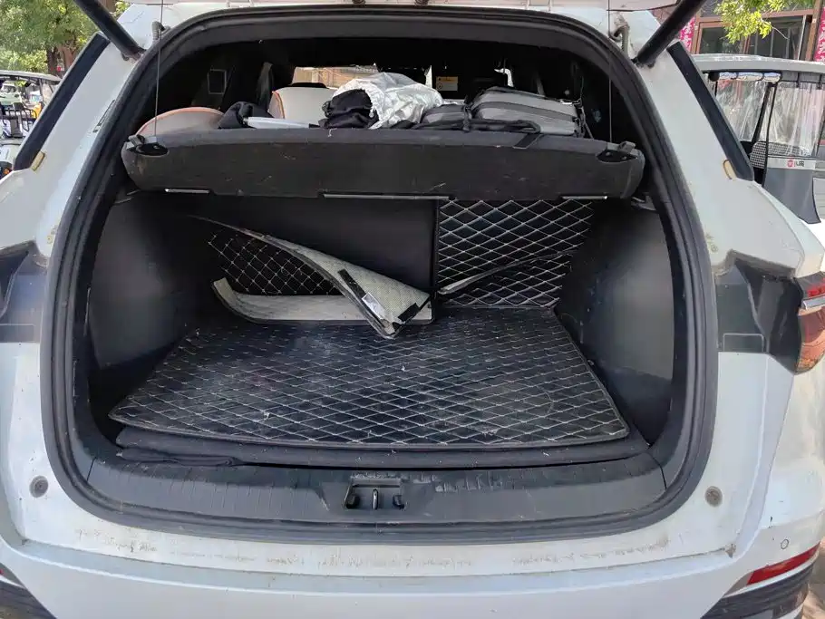 BYD Pro New Energy — миниатюра 2