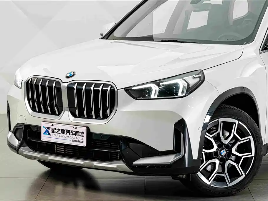BMW X1 — миниатюра 2