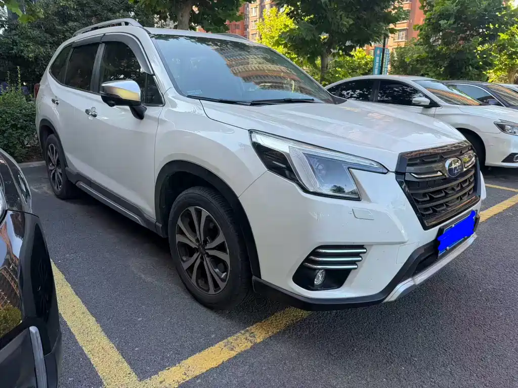 Subaru Forester — миниатюра 2