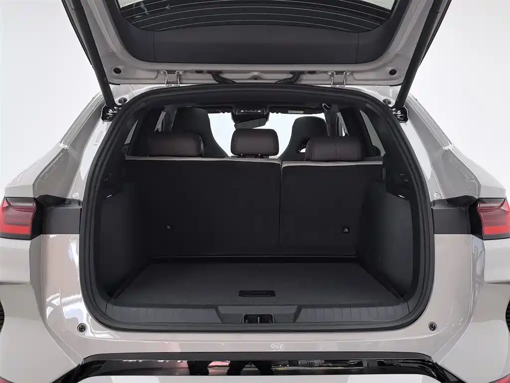 BYD SONGJIANG NEW ENERGY