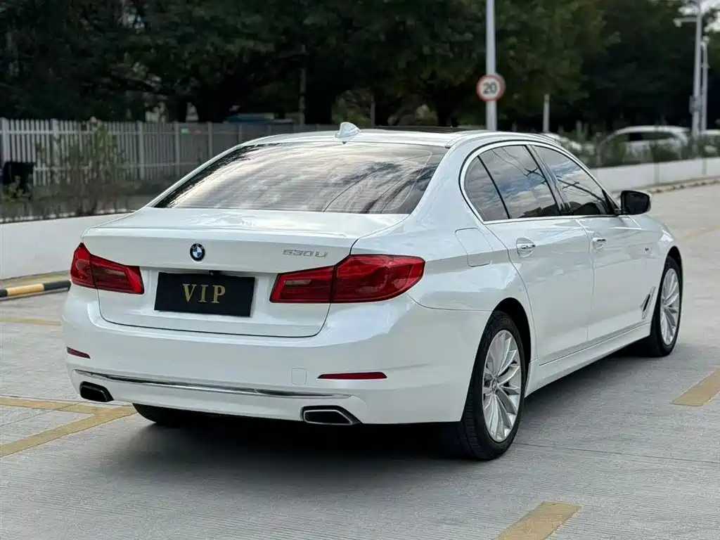 BMW 5 Series 5 2018 530Li Lead Luxury