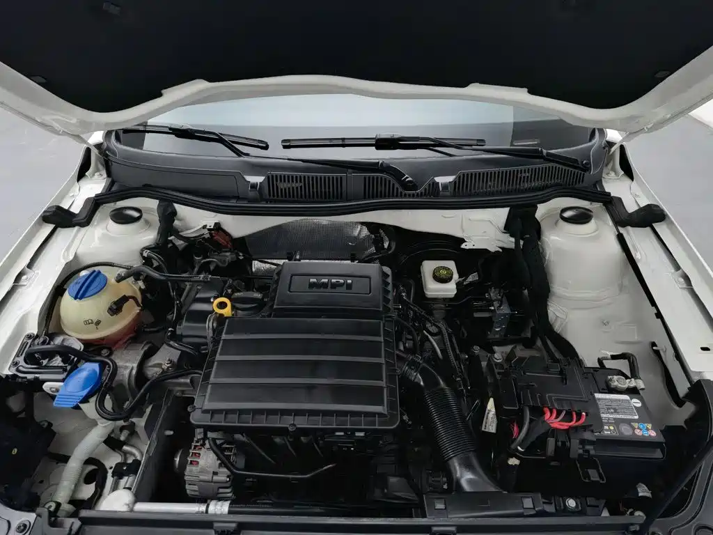 Volkswagen Gran Lavida — миниатюра 6