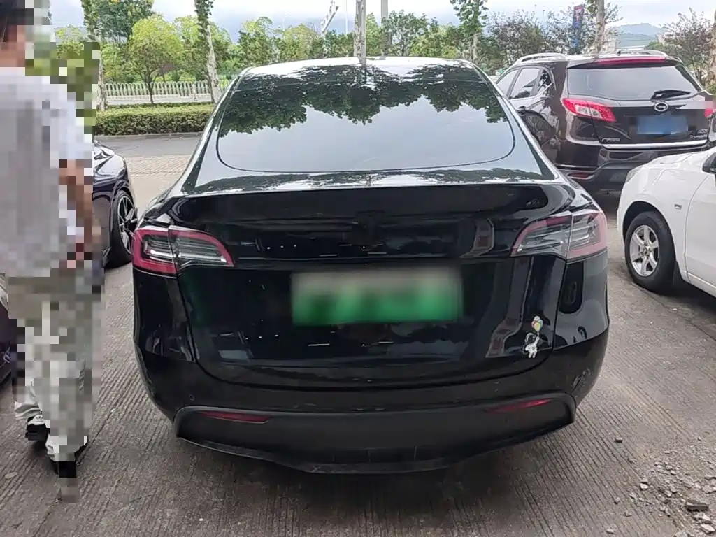 Tesla Model Y — миниатюра 6