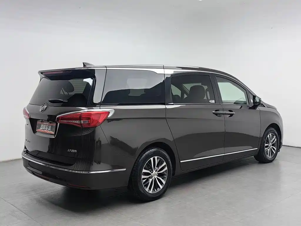 Buick GL8 — миниатюра 2