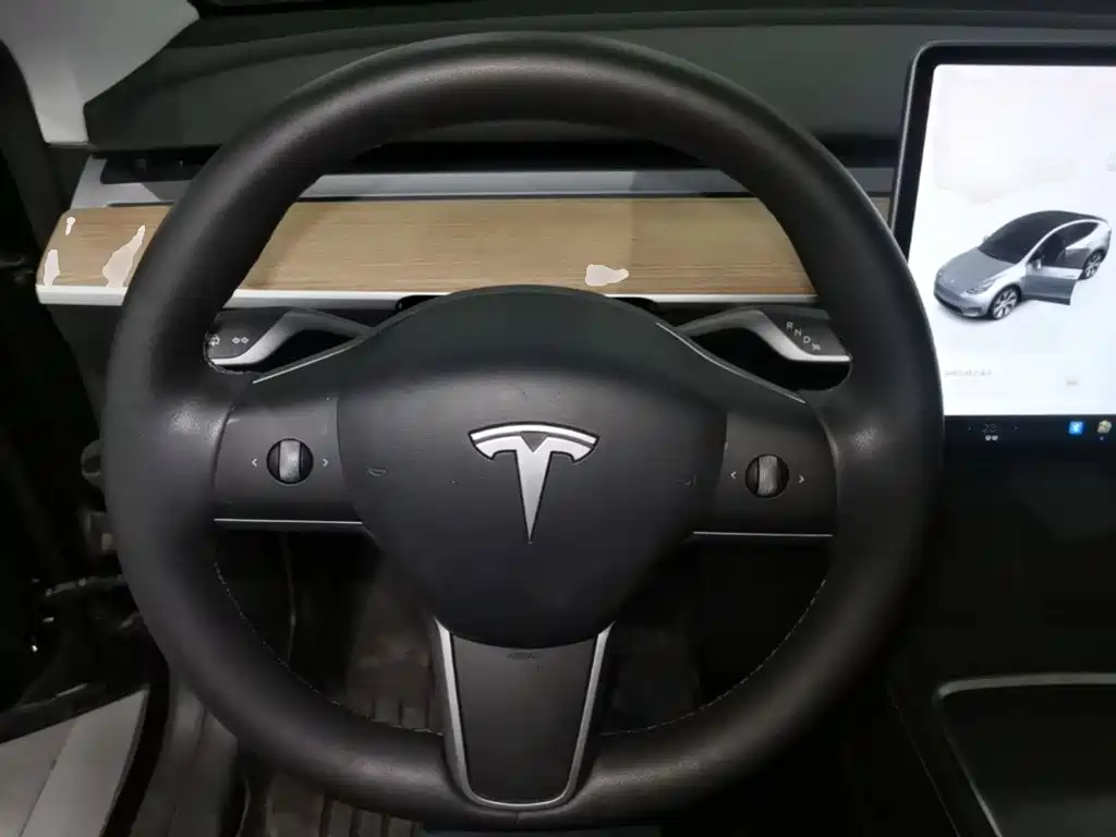 Tesla Model Y — миниатюра 11