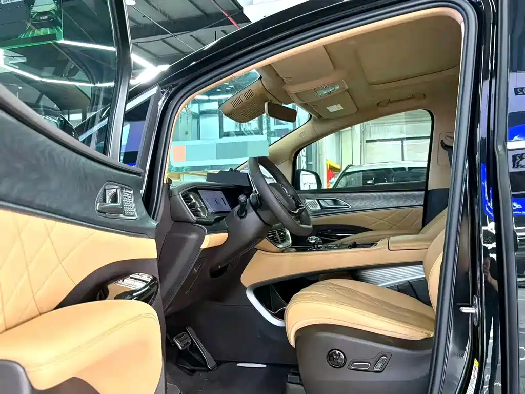 Denza Denza D9 — миниатюра 3