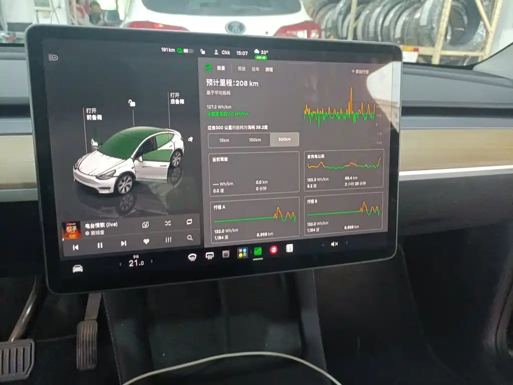 Tesla Model Y — миниатюра 14